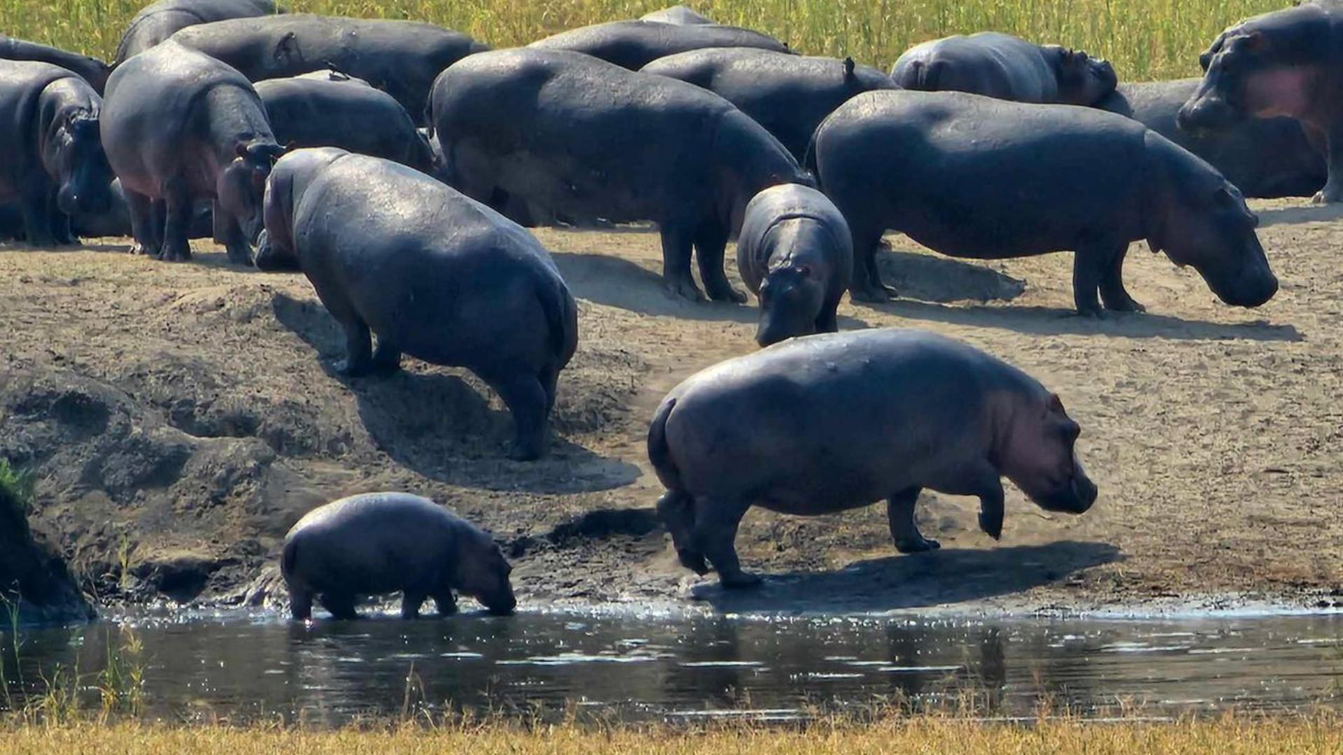 Rongai Route Kilimanjaro